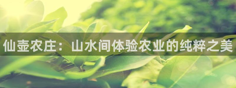 ag九游会j9j9