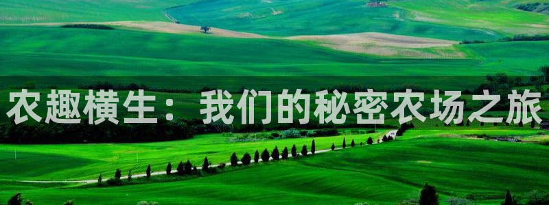 j9九游会网址