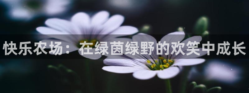 我的九游会