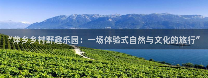 ag旧版九游会