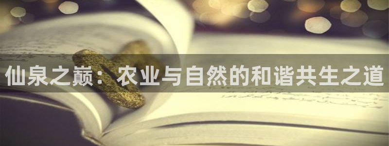 九游会老哥会