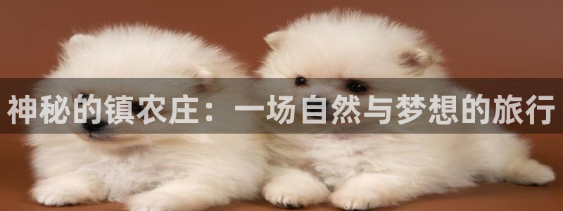 九游会网址九