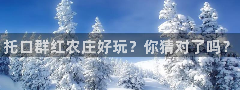 九游会直营