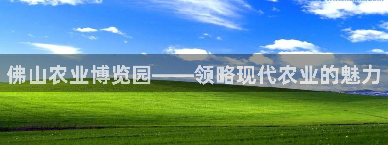 九游会备用线路