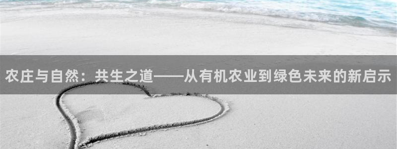九游会备用网