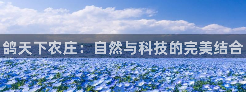九游会j9娱乐官网