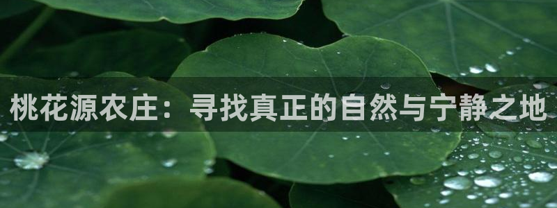 九游会游戏官网下载安装