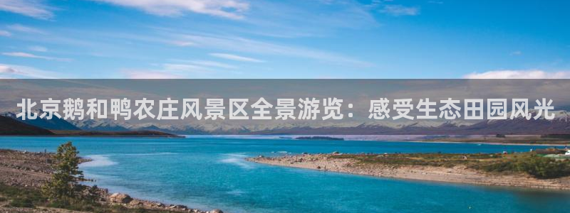 九游会棋牌