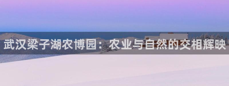 九游会视讯厅