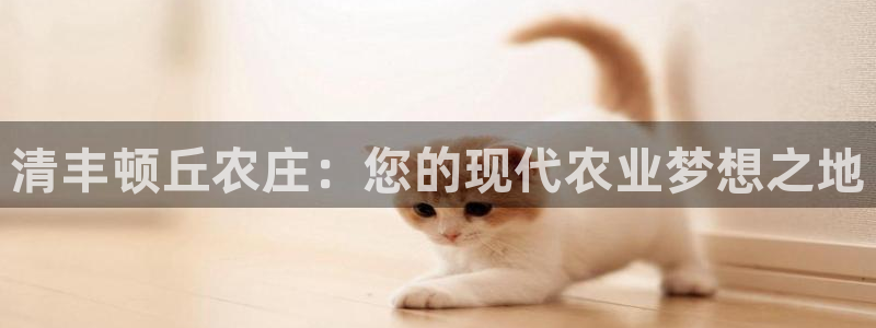 九游会不提款