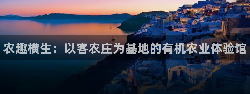 九游会老哥会