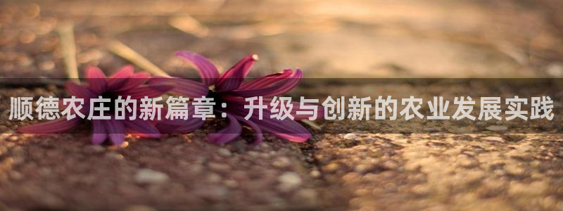 j9九游会网址