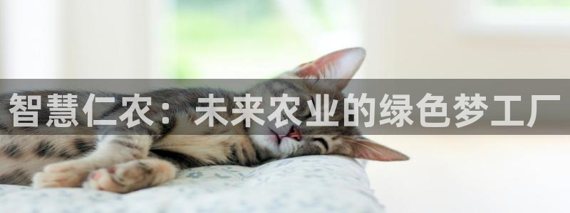下载九游会