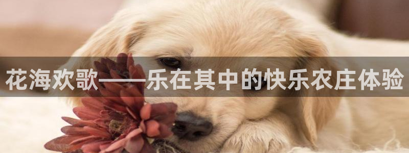 u九游会