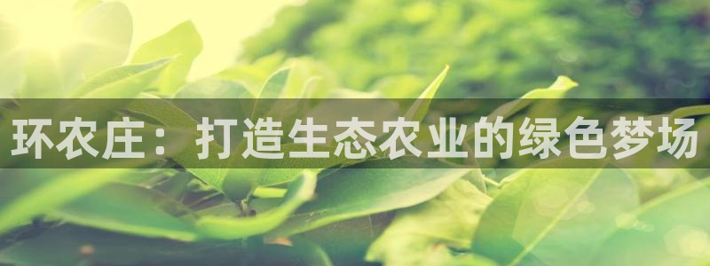亚游停运转九游会