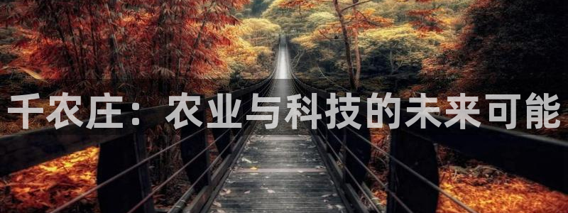莉莉斯园游会九游