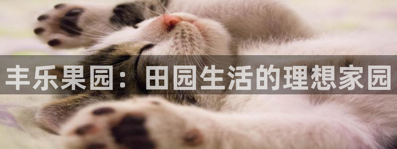 九游账号重复申诉会怎样