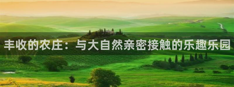 泰国九游会