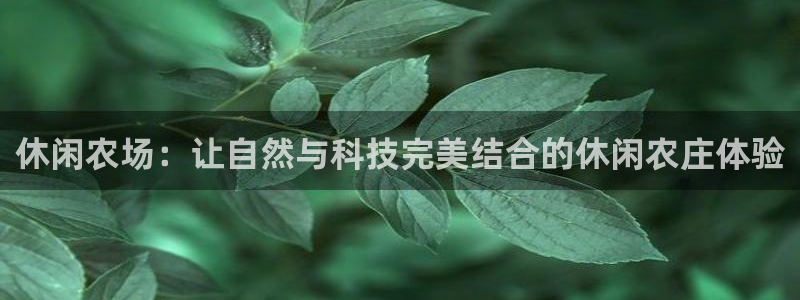 手机九游会