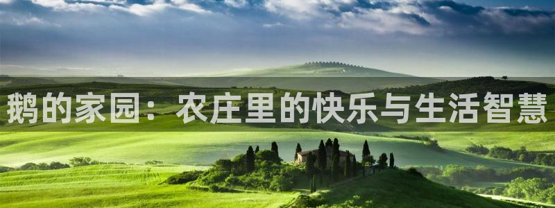 九游会官网网页版入口