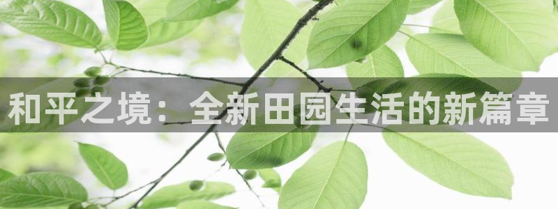 九游会ag正版app