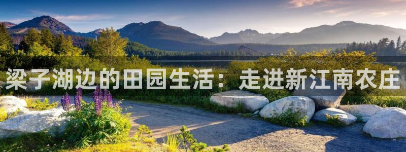 九游会棋牌游