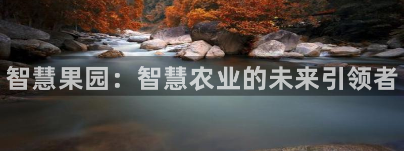 九游会能不能信