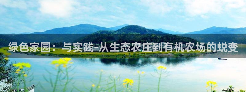 九游会官网入口下载