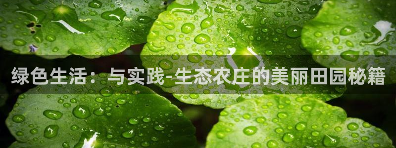 九游会体育官方