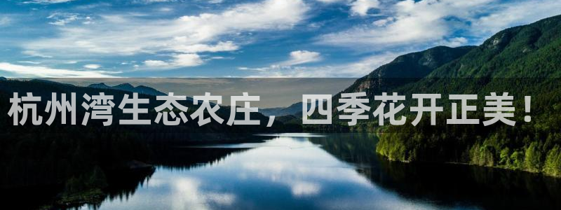 九曲灯游会