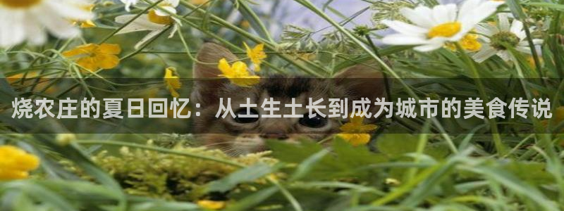 ag九游会vip