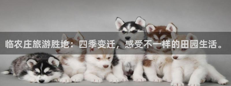 九游会官网网页版下载