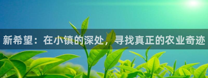 九游会的网址
