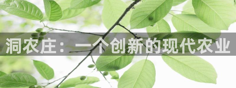 九游会网址登陆