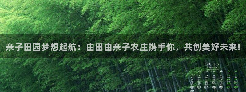 九游会官方正版下载