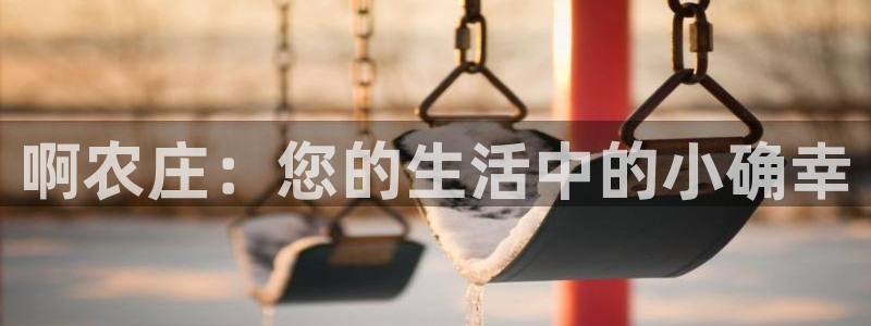 九游会手机登陆吗
