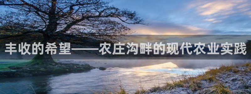 九游会娱乐