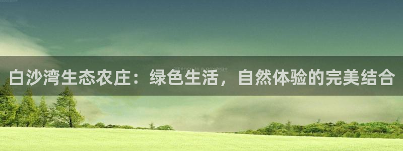 九游会取款分流