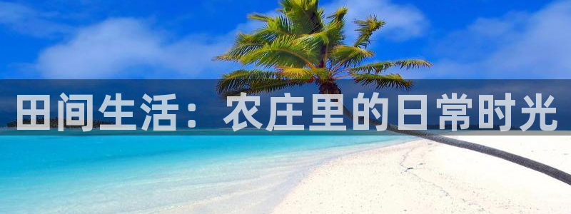九游会国际平台