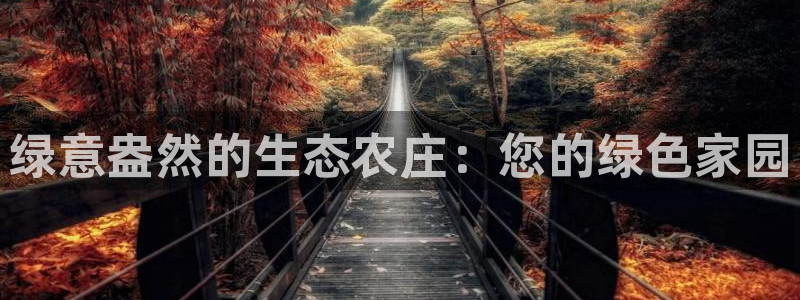 九游会备用线路