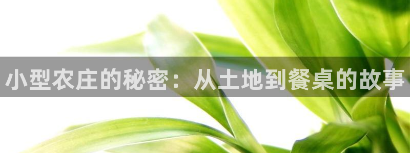 九游会追回