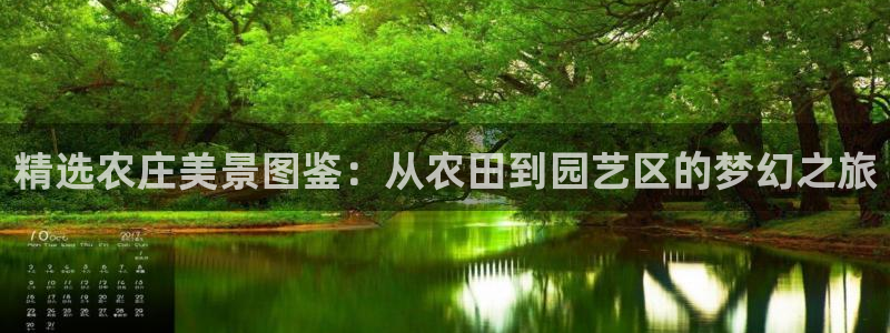 九游会财神
