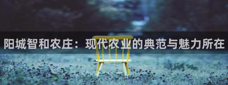 9九游会