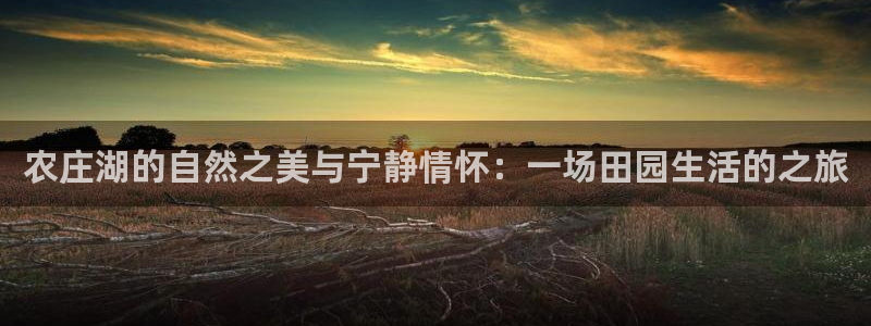 九游会积分王