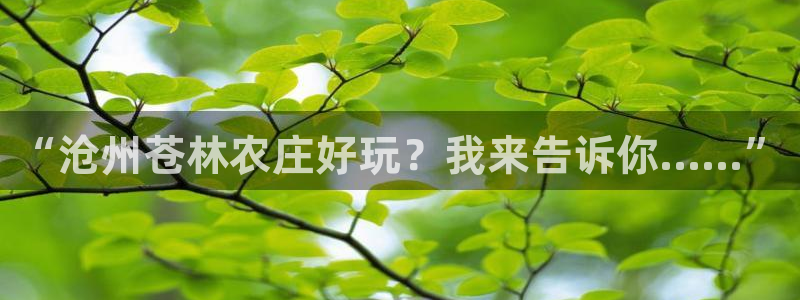 j9九游会直营