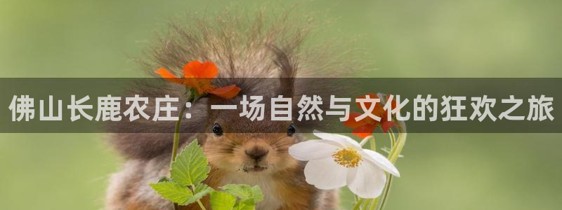 j9数字货币九游会