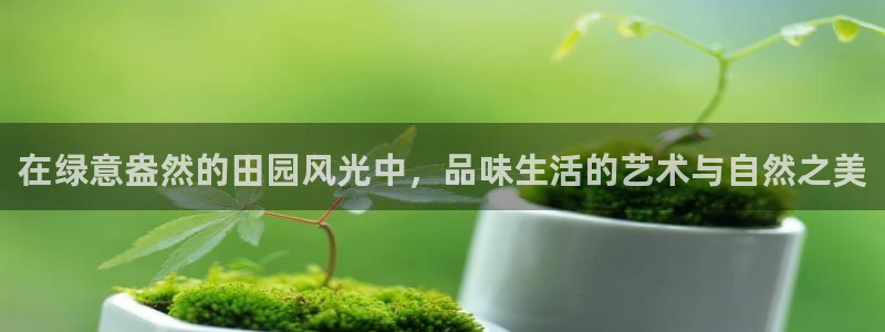 九游会财神