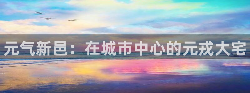 ag 九游会
