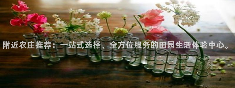九游会财神