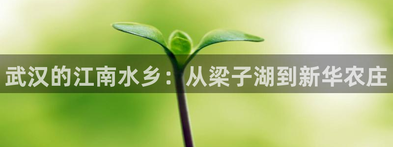 九游账号重复申诉会怎样
